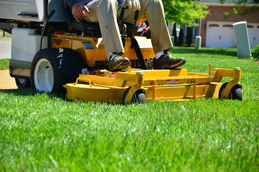 The Essential Guide to Lawn Insect Control: Protecting Your Grass